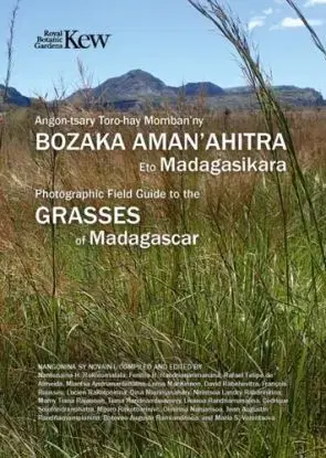 Field Guide of Common Grasses of Madagascar - Fenitra Randrianarimanana, Nantenaina Rakotomalala