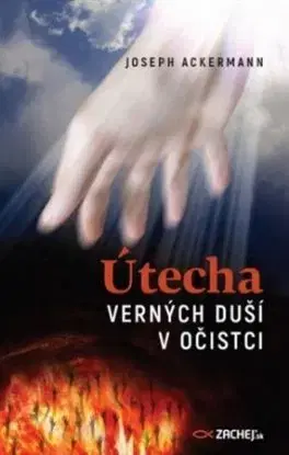 Útecha verných duší v očistci - Joseph Ackermann