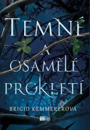 Temné a osamělé prokletí, 2. vydání - Brigid Kemmerer