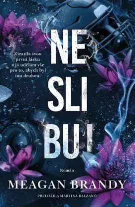 Chlapci z Avixu 2: Neslibuj - Meagan Brandy