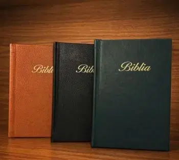 Biblia Tranoscius 2024 so zlatou oriezkou a ozdobným písmom v ekokoži (Hnedá)
