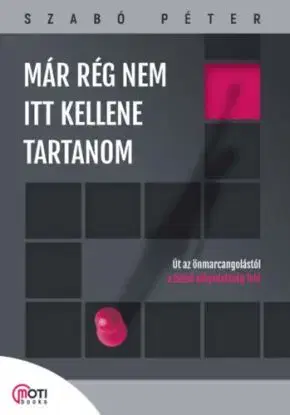 Már rég nem itt kellene tartanom - Út az önmarcangolástól a belső elégedettség felé - Péter Szabó