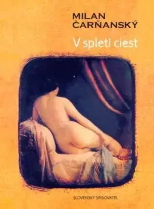 V spleti ciest - Milan Čarňanský