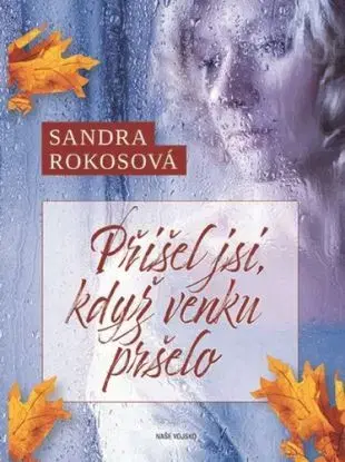 Přišel jsi, když venku pršelo - Sandra Rokosová