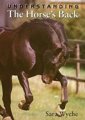 Understandindg Horses Back