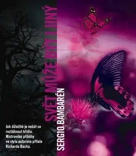 Svět může být i jiný - Sergio Bambaren