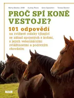 Proč spí koně vestoje?