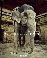 India Andreas H.Bitesnich - Andreas H. Bitesnich