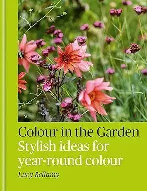 Colour in the Garden - Lucy Bellamy