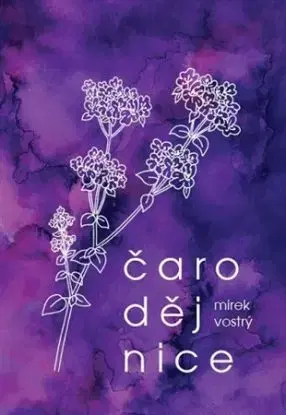 Čarodějnice - Mirek Vostrý