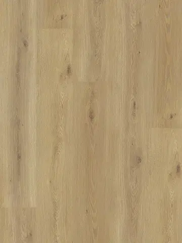 EXPERTO LVT 55 Dub calle 8196L-001