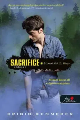 Elementálok 5: Sacrifice - Áldozat - Brigid Kemmerer