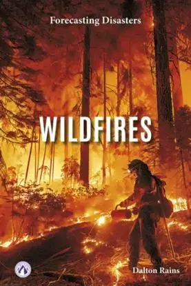 Wildfires - Dalton Rains