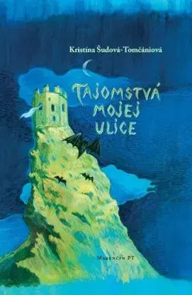 Tajomstvá mojej ulice - Kristína Šudová-Tomčániová