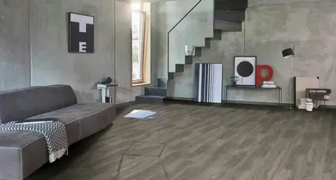 PARADOR Basic 5.3 SPC Dub pastelovo sivý kartáčovaná štruktúra 1743005