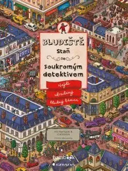 Bludiště - Staň se soukromým detektivem - Hiro Kamigaki