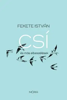 Csí és más elbeszélések - felújított kiadás - István Fekete