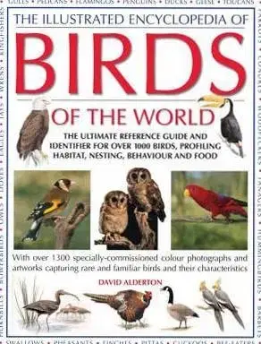 The Illustrated Encyclopedia Of Birds Of The World - David Alderton
