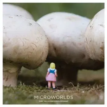 Microworlds - Marc A. Valli