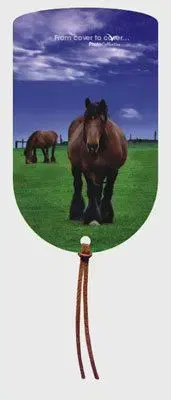 Magnetická záložka Pastva
