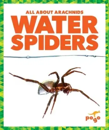 Water Spiders - Becca Becker