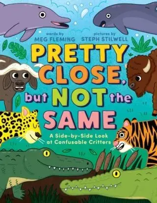 Pretty Close, but Not the Same - Meg Fleming