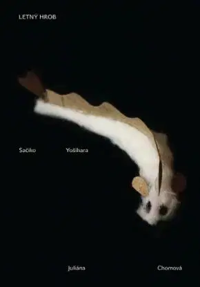 Letný hrob - Yošihara Sačiko