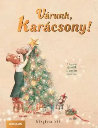 Várunk, Karácsony! - Birgitta Sif