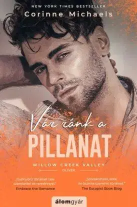 Vár ránk a pillanat - Michaels Corinne