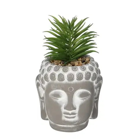 Dekoria Dekorácie Succulent I Buddha 17cm, 10 x 10 x 17 cm