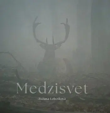 Medzisvet