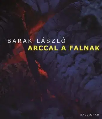 Arccal a falnak - László Barak