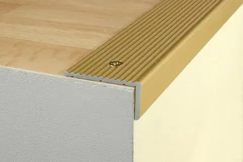 Schodový profil 40 x 20 mm (skrutkovací) Bronz E03
