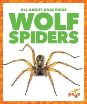 Wolf Spiders - Becca Becker