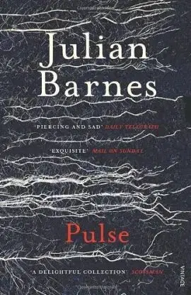 Pulse - Julian Barnes