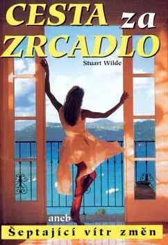 Cesta za zrcadlo - Stuart Wilde