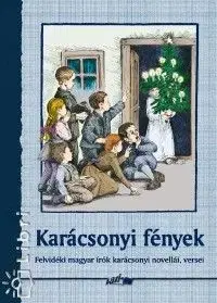 Karácsonyi fények