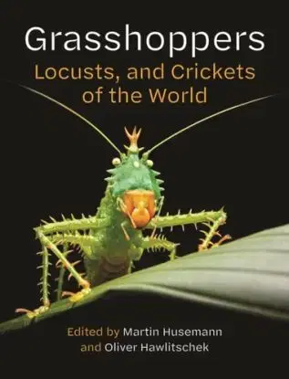 Grasshoppers, Locusts, and Crickets of the World - Martin Husemann, Oliver Hawlitschek