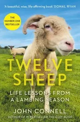 Twelve Sheep - Connelly John