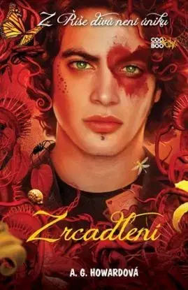 Zrcadlení - A.G.Howardová