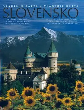 Slovensko v treťom tisícročí - Vladimír Bárta