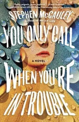 You Only Call When You're in Trouble - Stephen McCauley