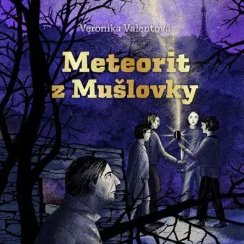Meteorit z Mušlovky - Audiokniha CD - Veronika Valentová