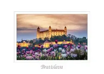 (A6) Pohľadnica A6 Bratislava XLIV (Tulipány) - tvorme s.r.o.