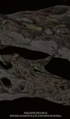 Posthumanistická planetární (po)etika - Jiří Sirůček