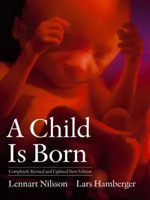 Child Is Born
