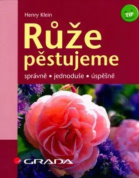 Růže - Henry Klein