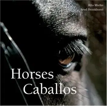 Horses Caballos
