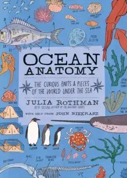 Ocean Anatomy
