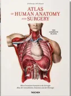 Bourgery, Atlas of Human Anatomy and Surgery - Le Minor Jean-Marie, Henri Sick